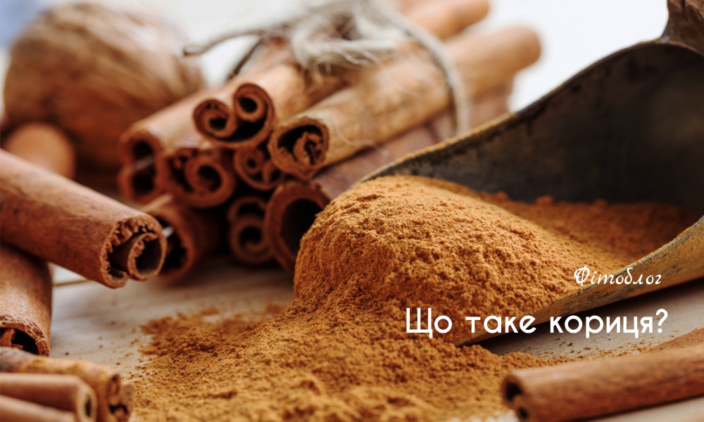 Кориця: користь і шкода, лікувальні властивості та протипоказання